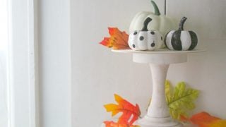 How To Make A Decorative Display Stand