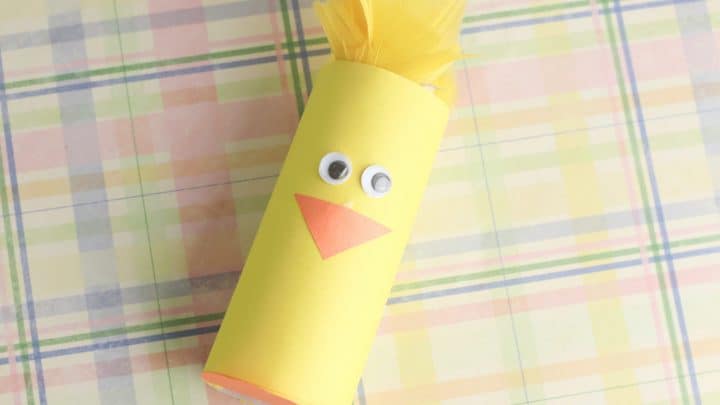 chick paper craft made from toiler paper roll with yellow feathers on the top, google eyes, and orange triangle beak; soft plaid background